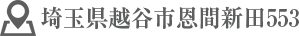 埼玉県越谷市恩間新田553